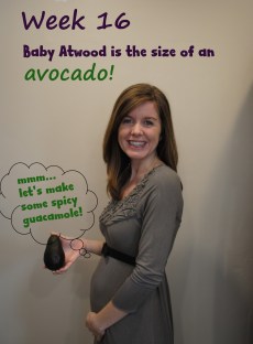 Week 16 (3) - with type added 3.jpg